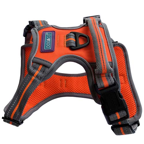 Dog & Co Orange Sports Harness Online Sale