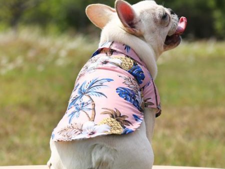 Pet Summer Shirt - Pink Tropical Online