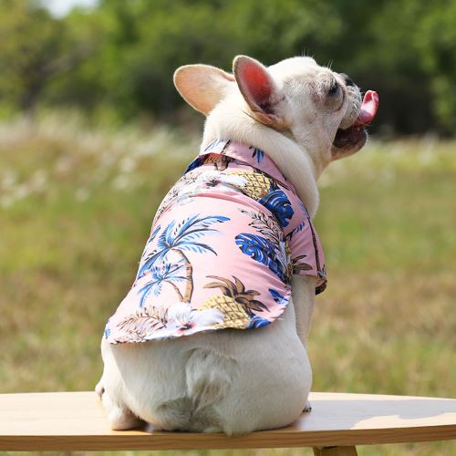 Pet Summer Shirt - Pink Tropical Online