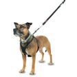 Dog No Pull Harness Large Fashion