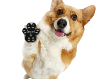 Disposable Dog Paw Patches (pack of 4) Online now