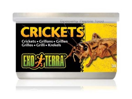 Exo Terra Crickets 34g For Cheap