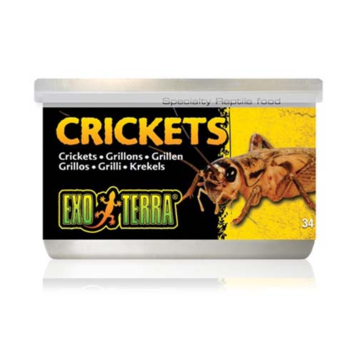 Exo Terra Crickets 34g For Cheap