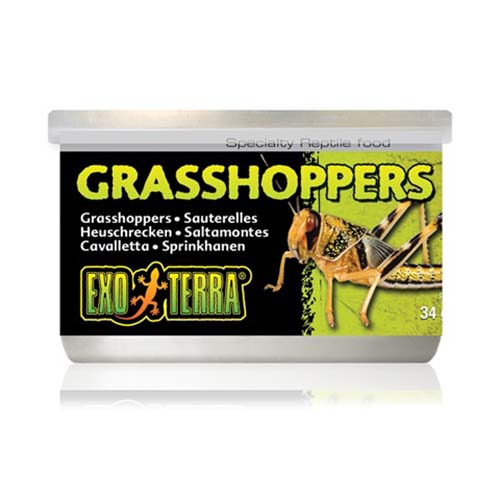 Exo Terra Grasshoppers 34g Fashion