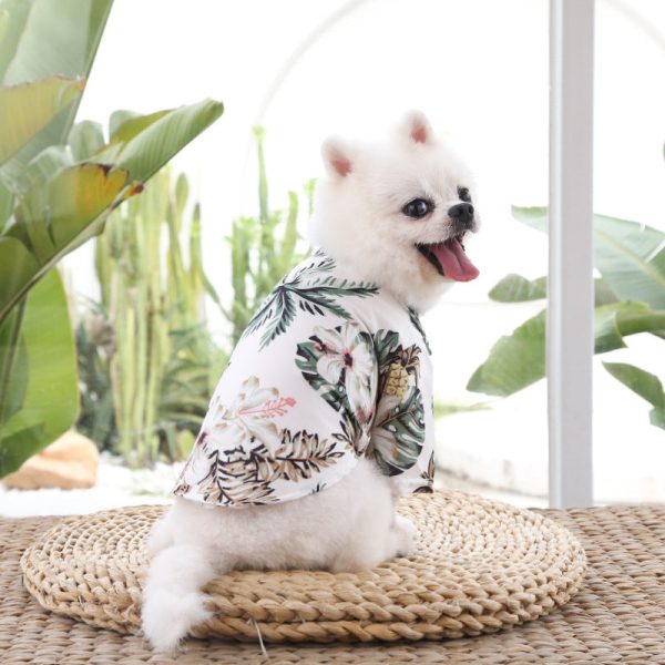 Pet Summer Shirt - Aqua Tropical Supply