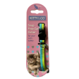 Kitty & Co Lime Aqua Cat Collar Cheap