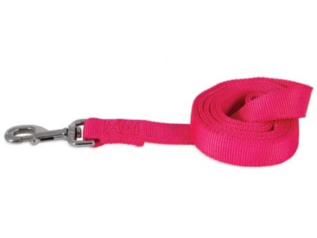 Petmate Pink 6  Nylon Lead   Leash Cheap