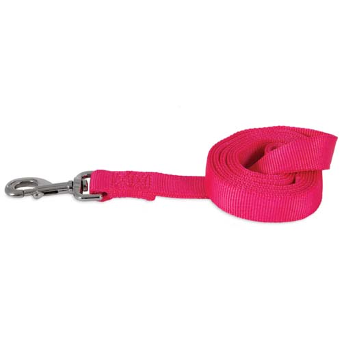 Petmate Pink 6  Nylon Lead   Leash Cheap