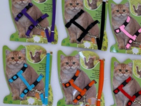 Cat Harness Set Discount