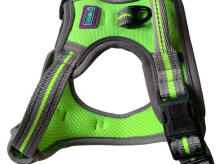 Dog & Co Lime Sports Harness For Cheap