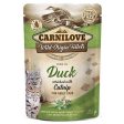 Carnilove Cat Duck with Catnip in Gravy 85g Pouch Online Sale