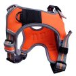 Dog & Co Orange Sports Harness Online Sale